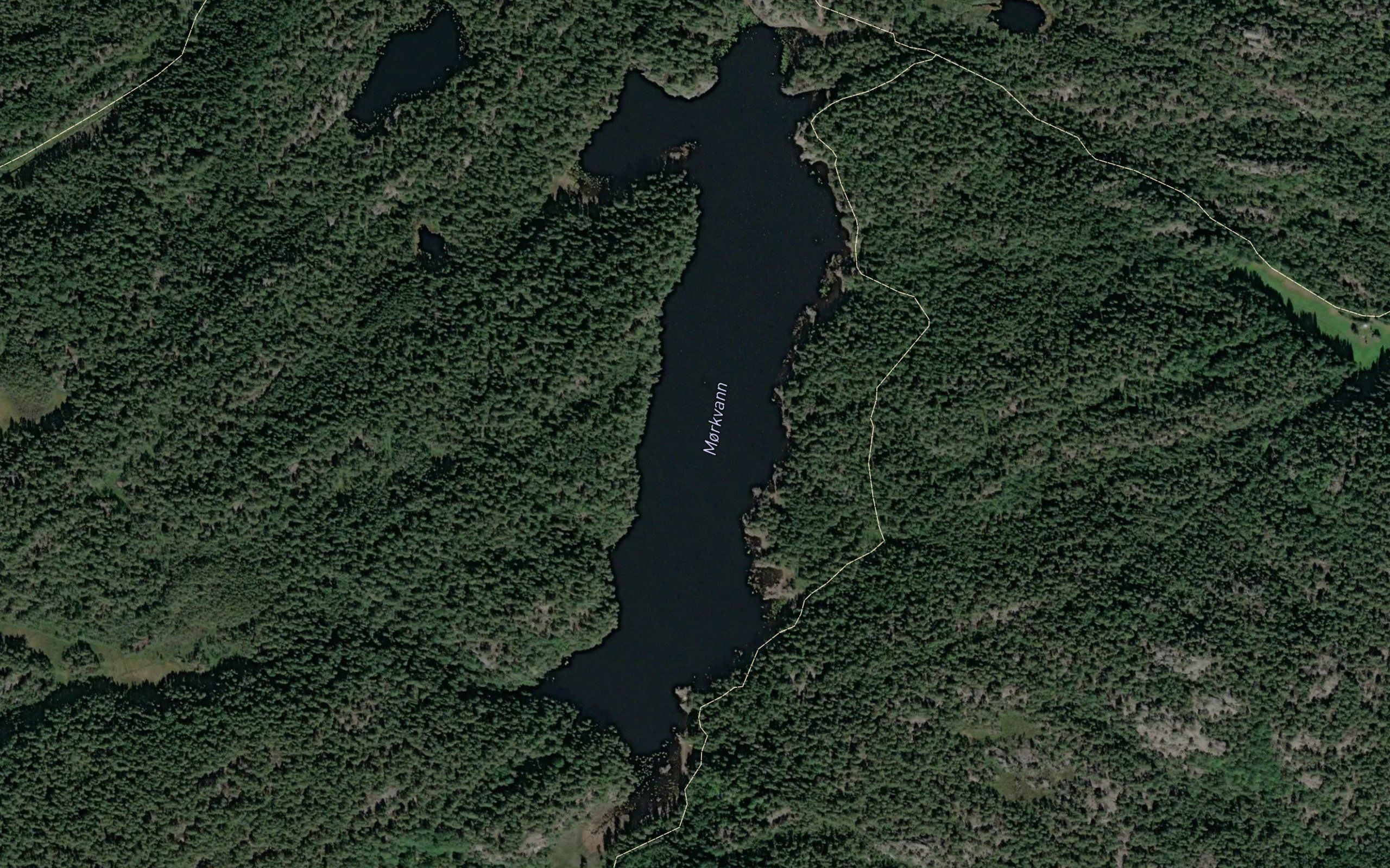 Morkvann