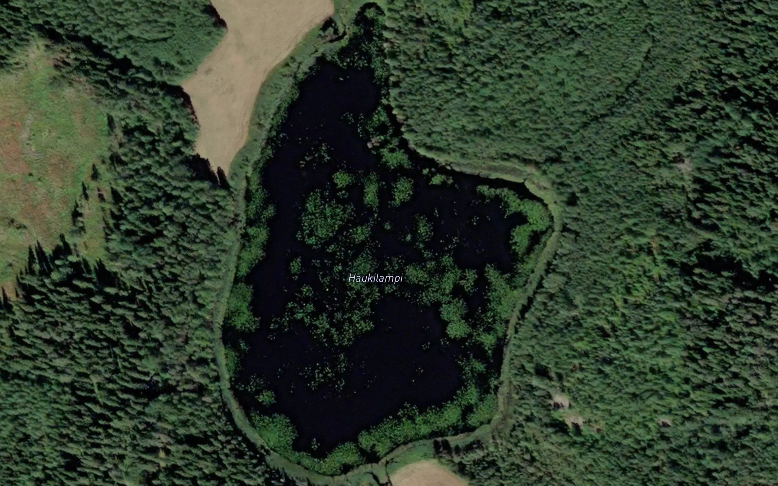 Haukilampi