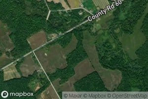 Venison Creek