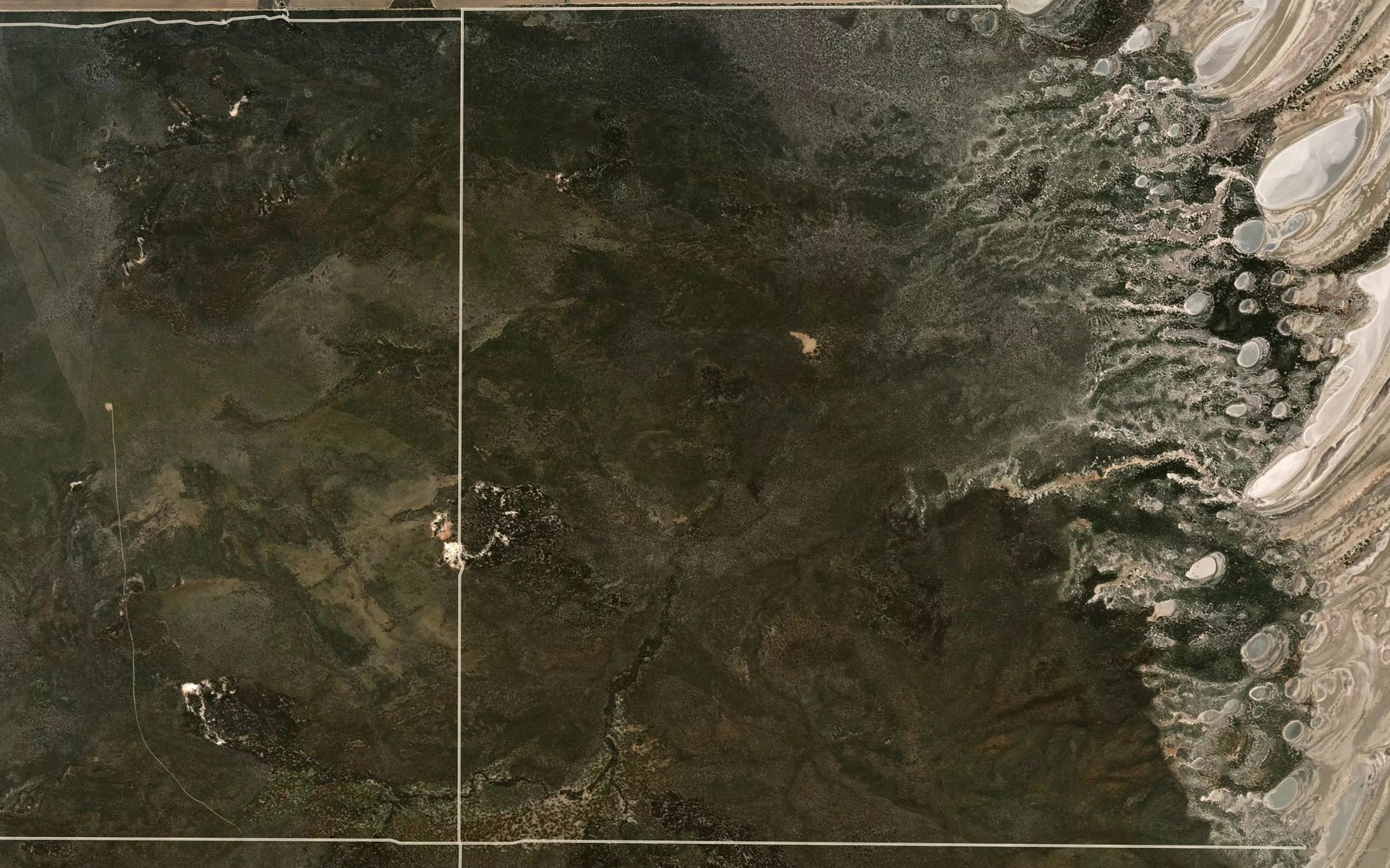 Satellite map of the Hall Lagoon