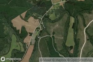 Rio Tamandua
