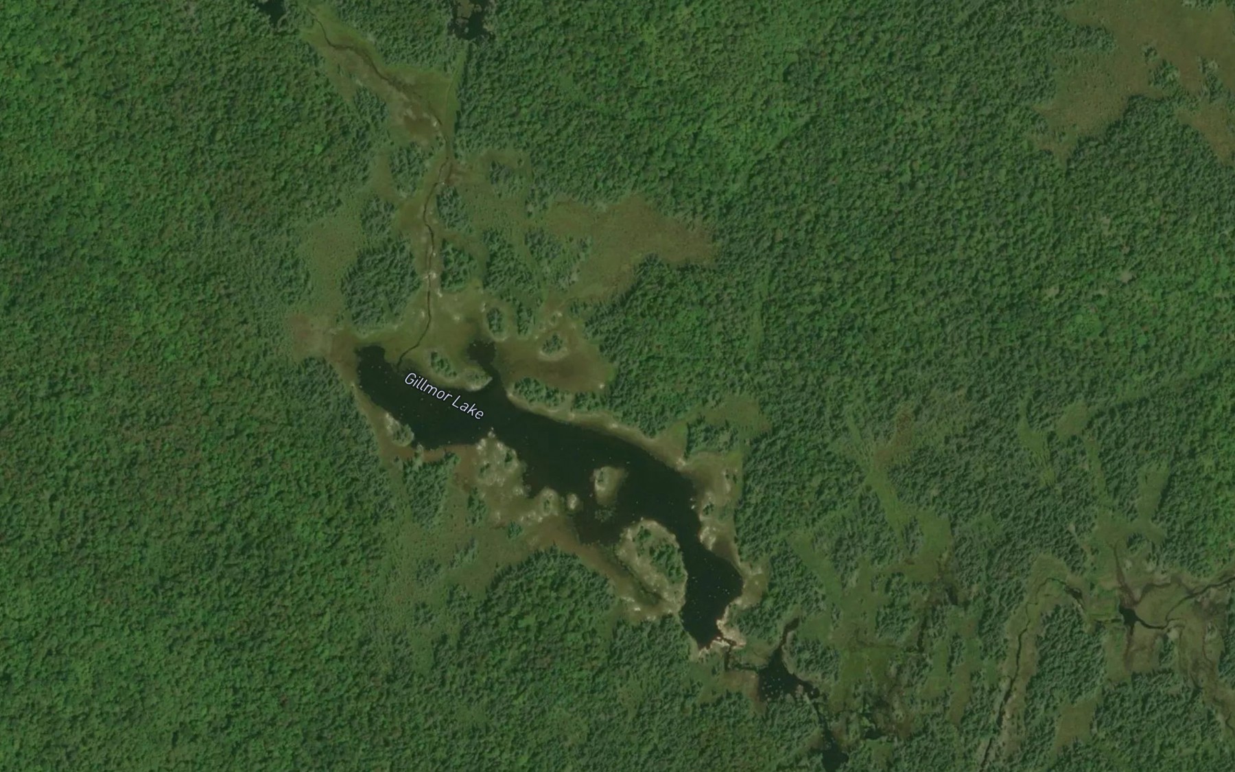 Satellite map of the Gillmor Lake