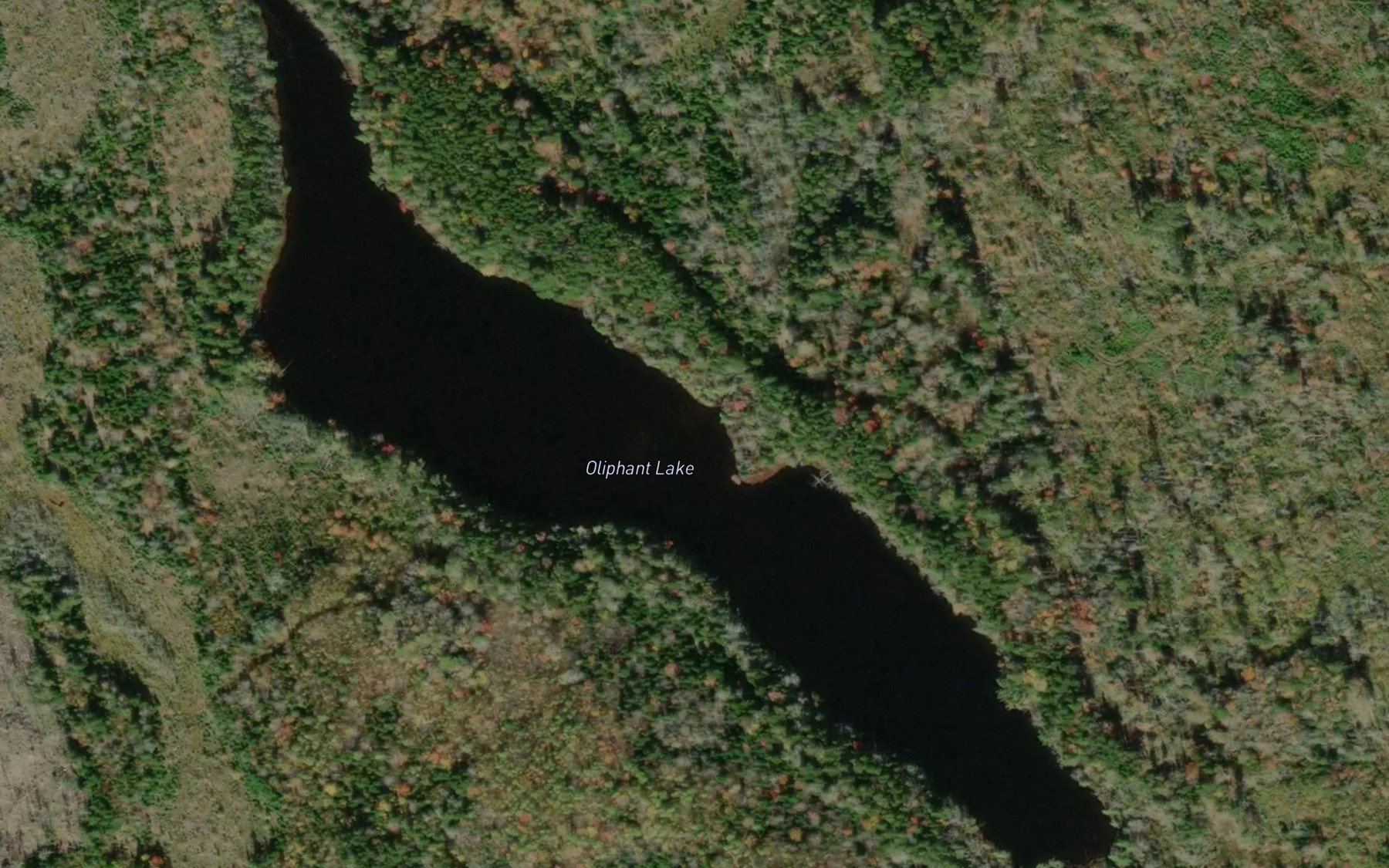 Satellite map of the Oliphant Lake