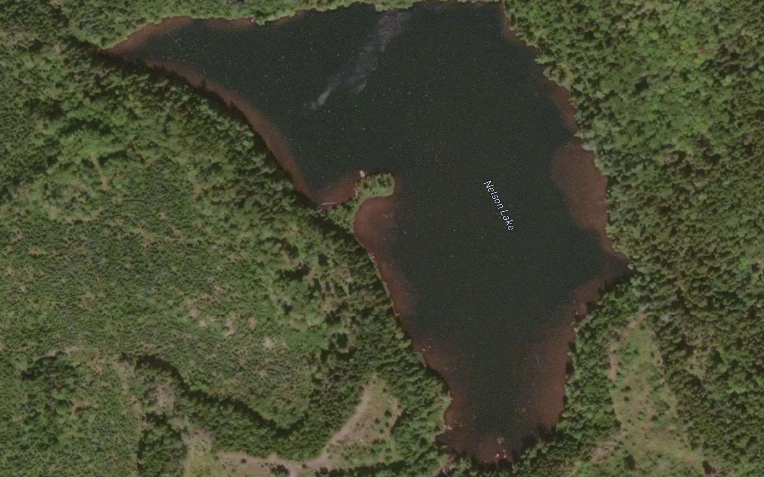 Nelson Lake