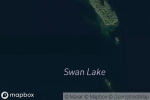 Swan Lake