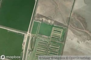 Lucio del Cano Nuevo