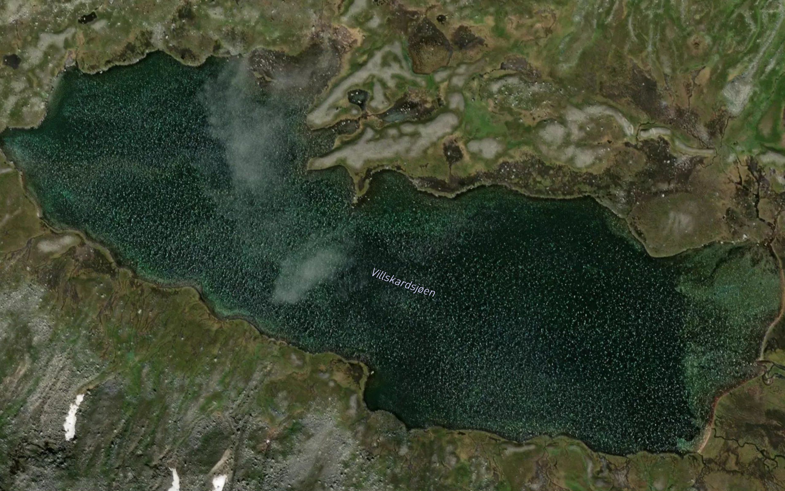 Villskardsjoen