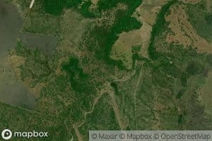 Arroyo Raya del Chapopote