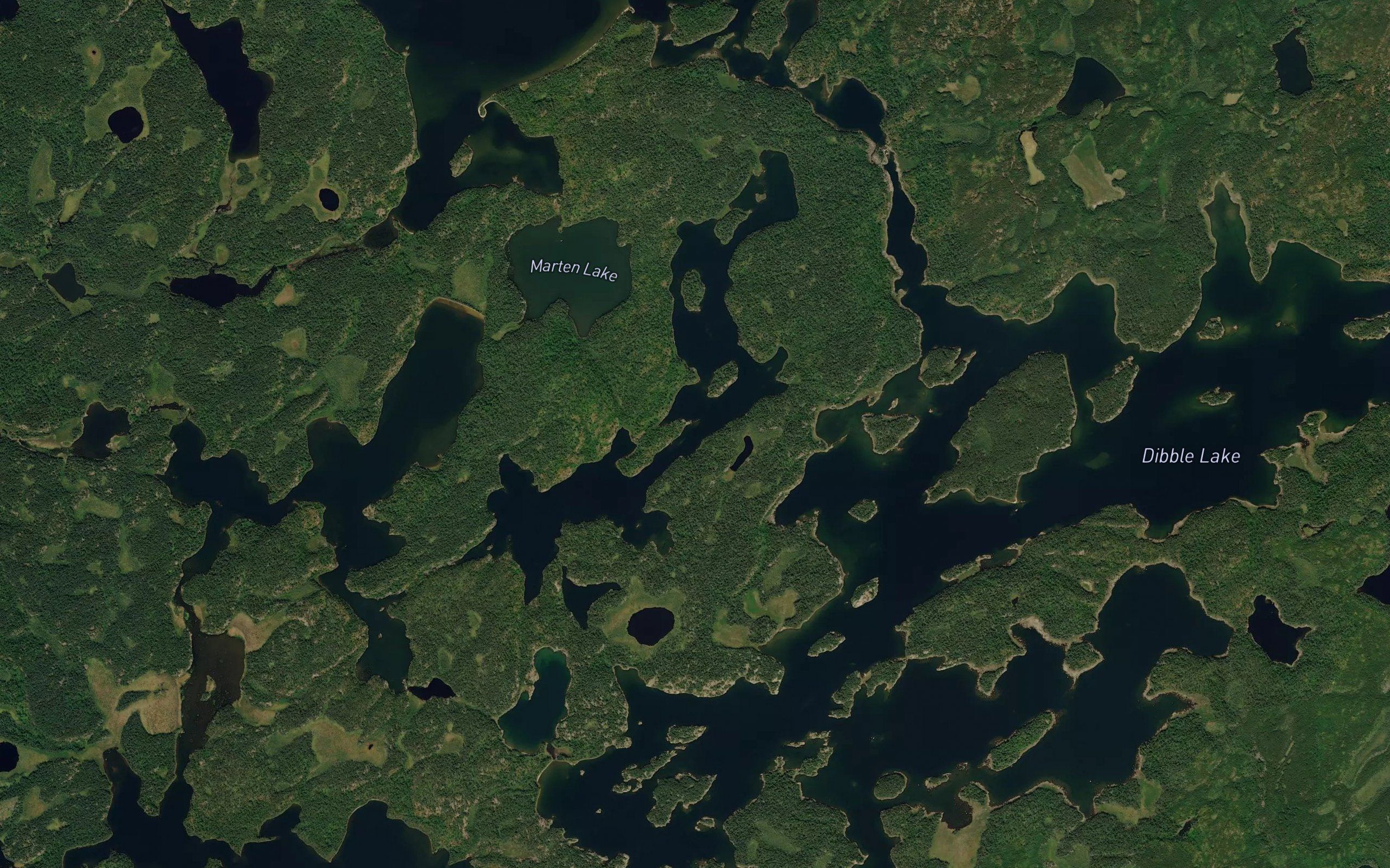 Pine Lake