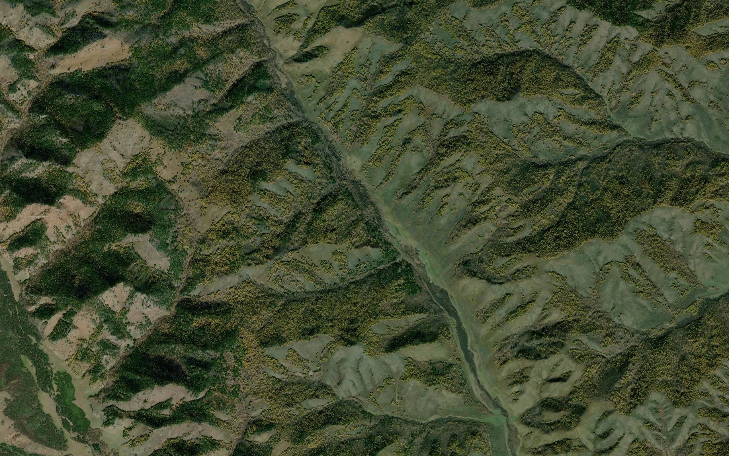 Naryn