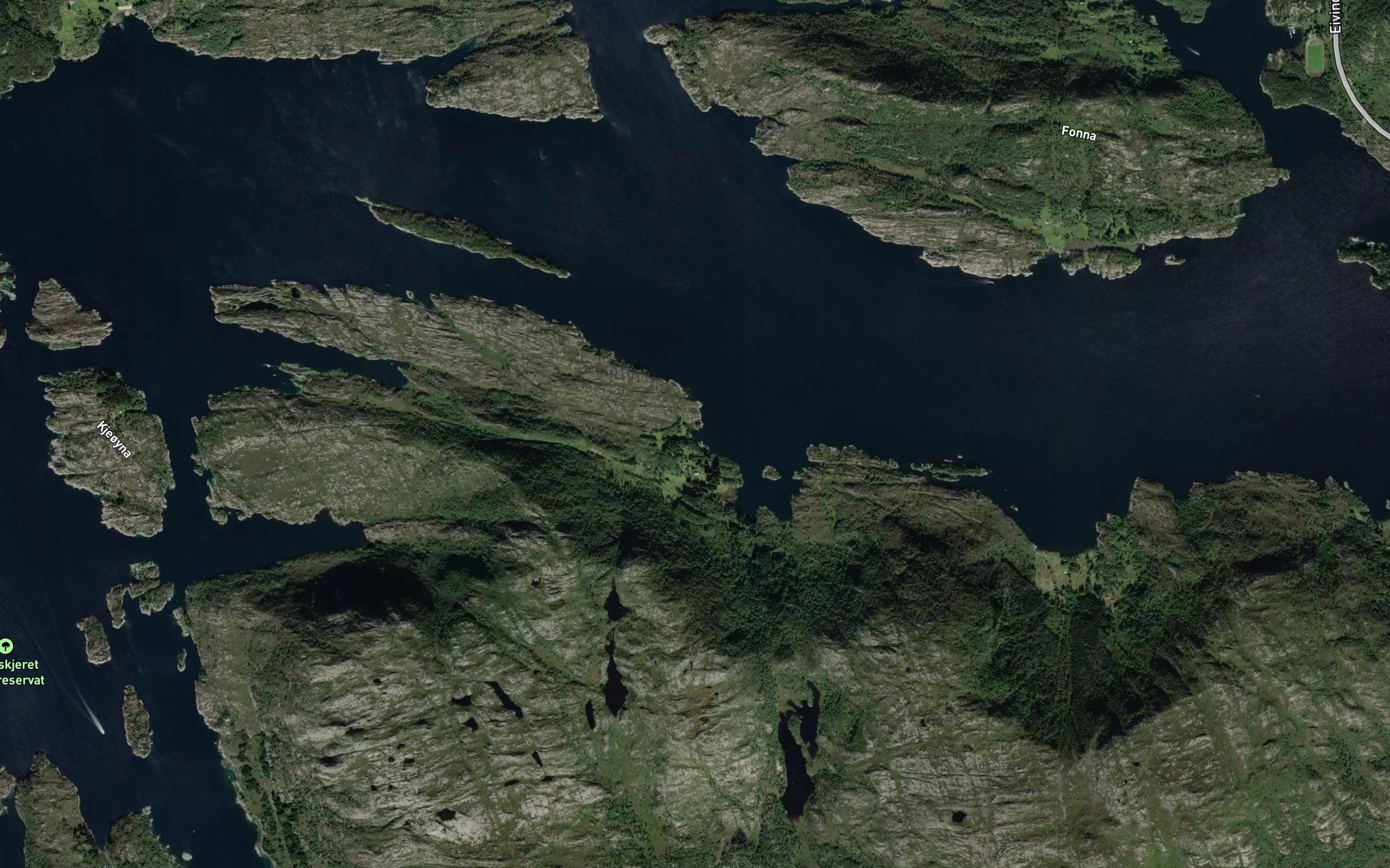 Pettervika