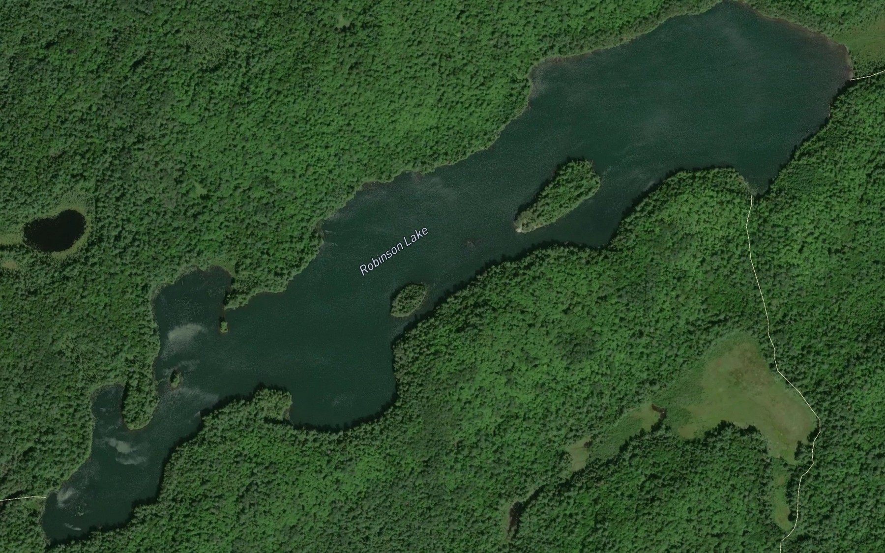 Satellite map of the Robinson Lake
