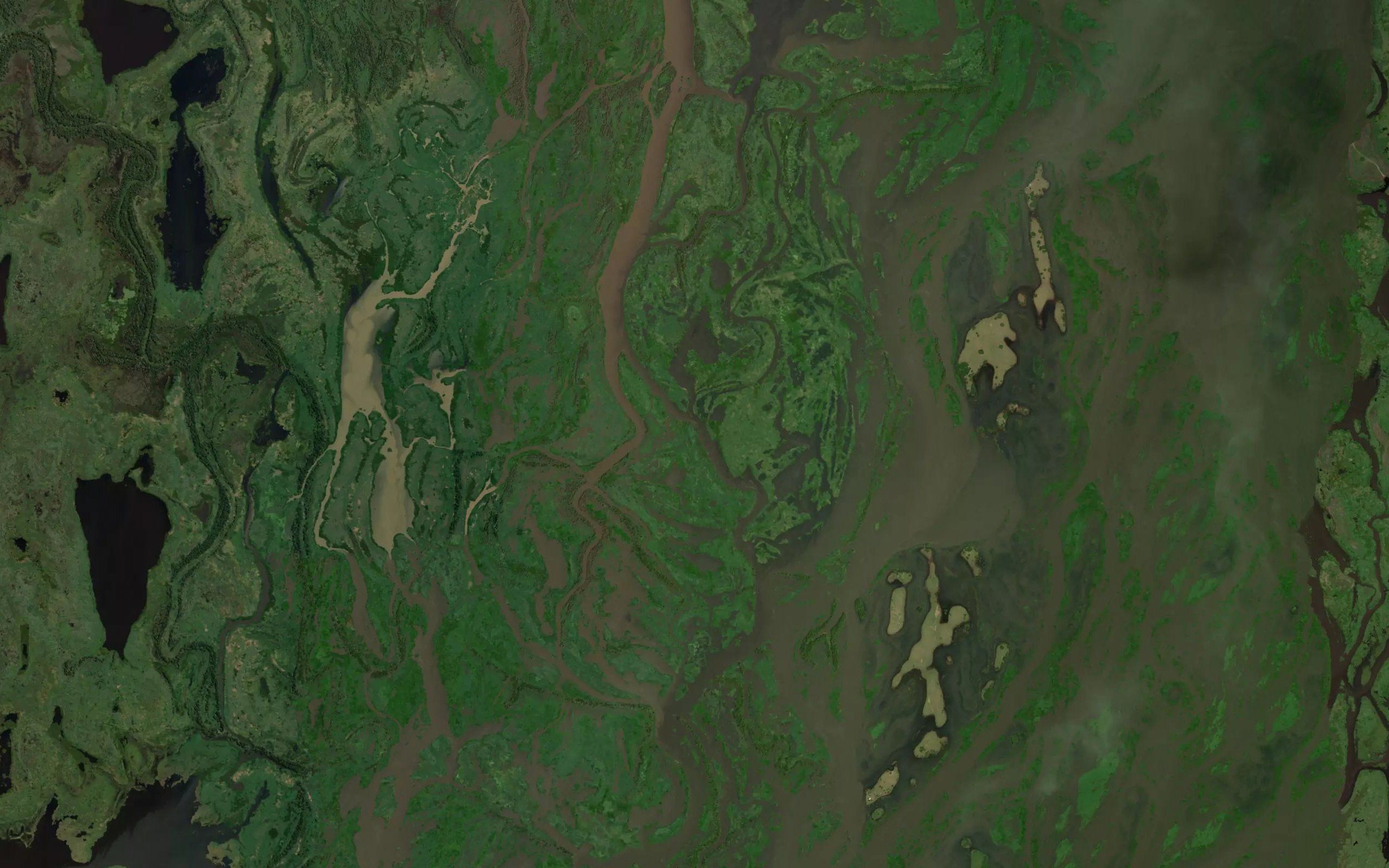 Arroyo Tala