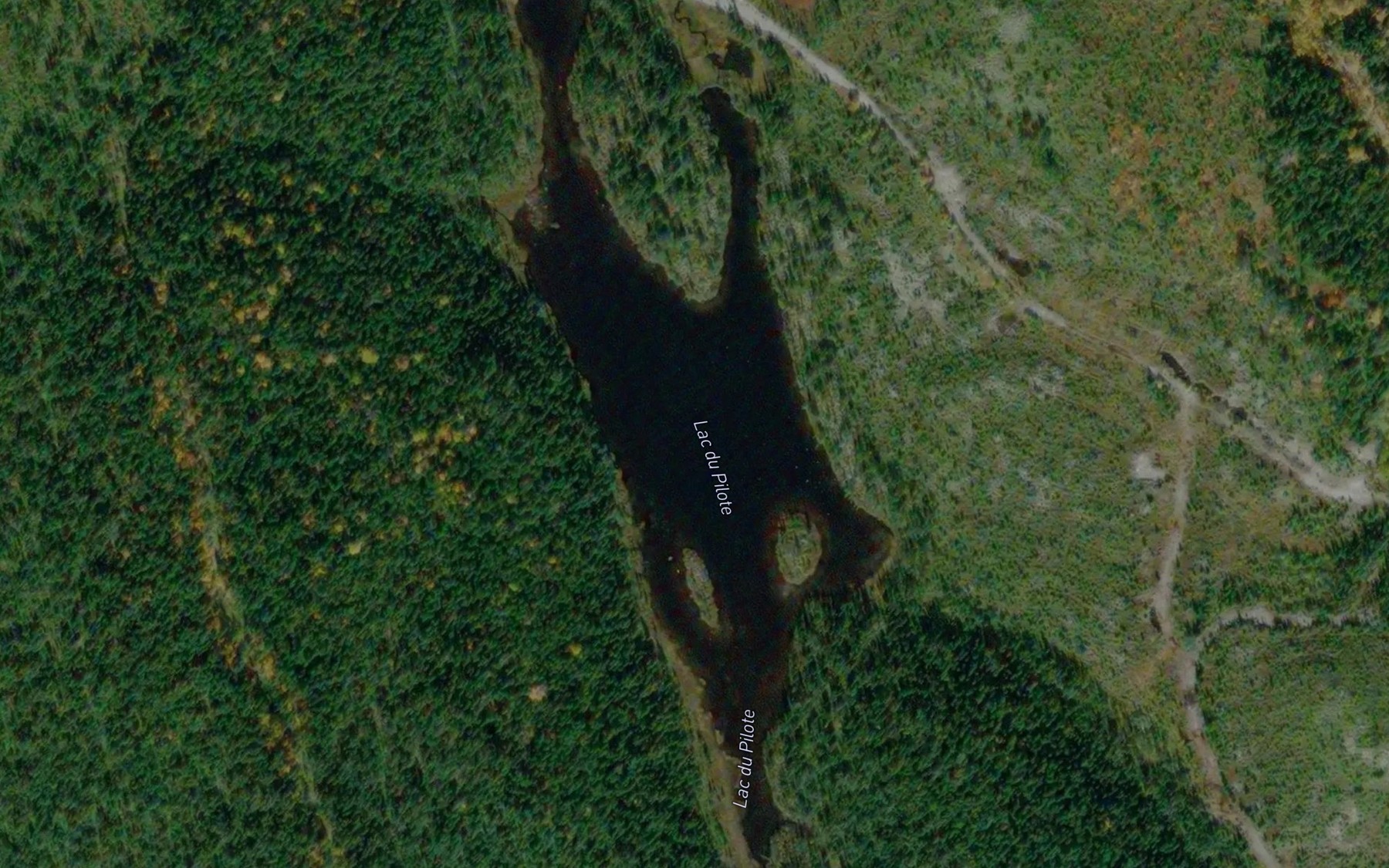 Satellite map of the Lac du Pilote