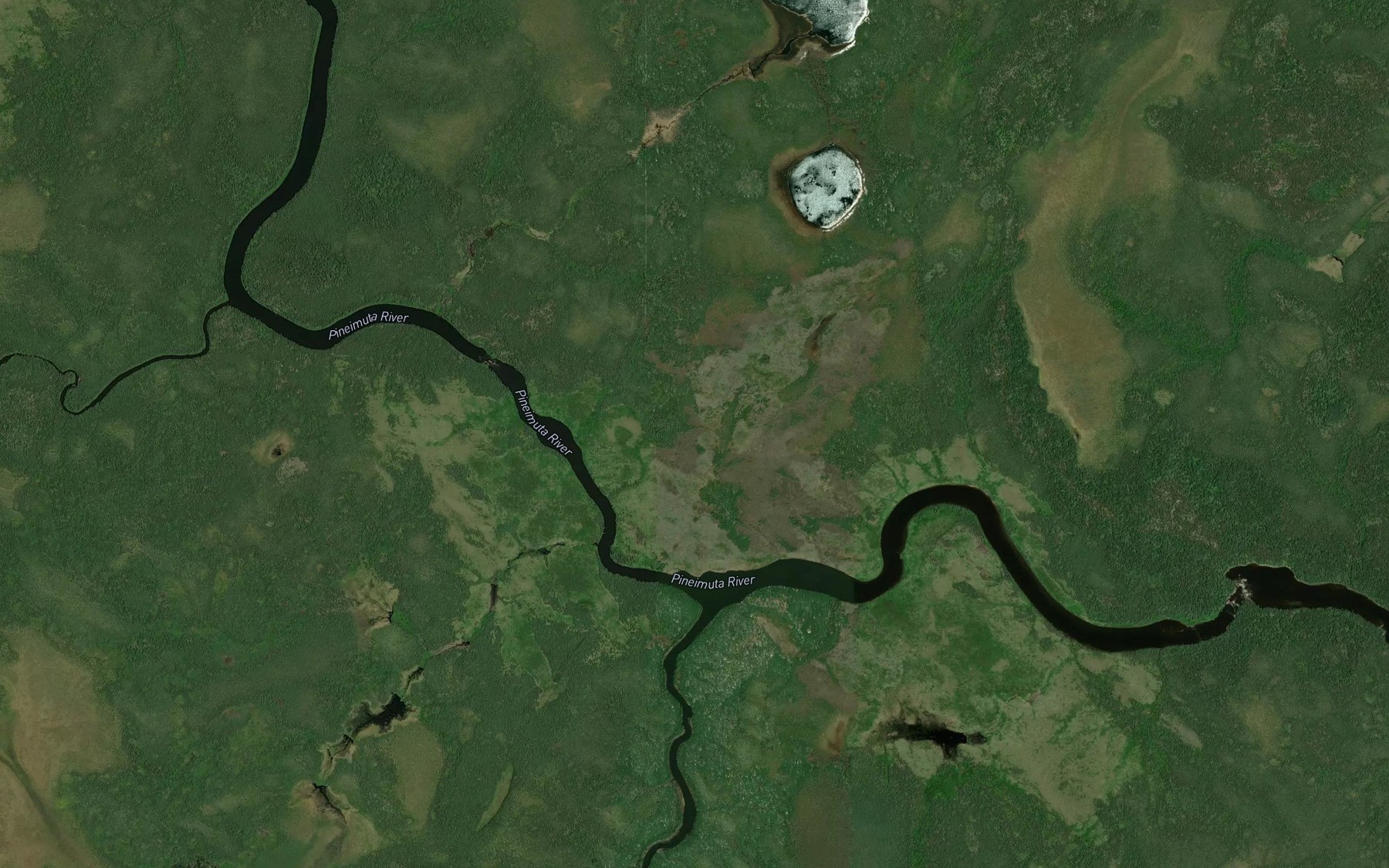 Satellite map of the Postelnic Creek