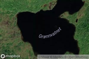 Gronvatnet