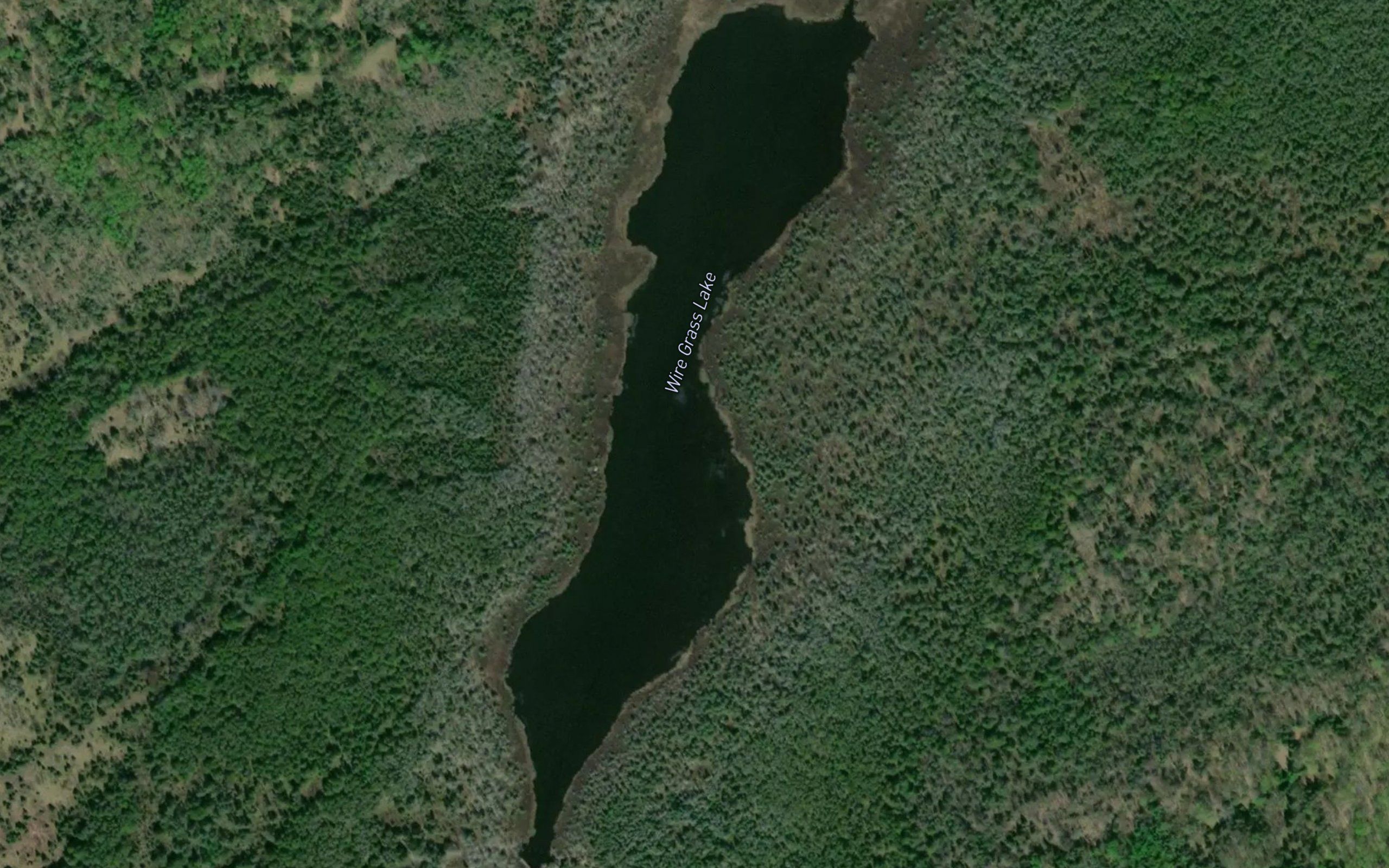 Wire Grass Lake