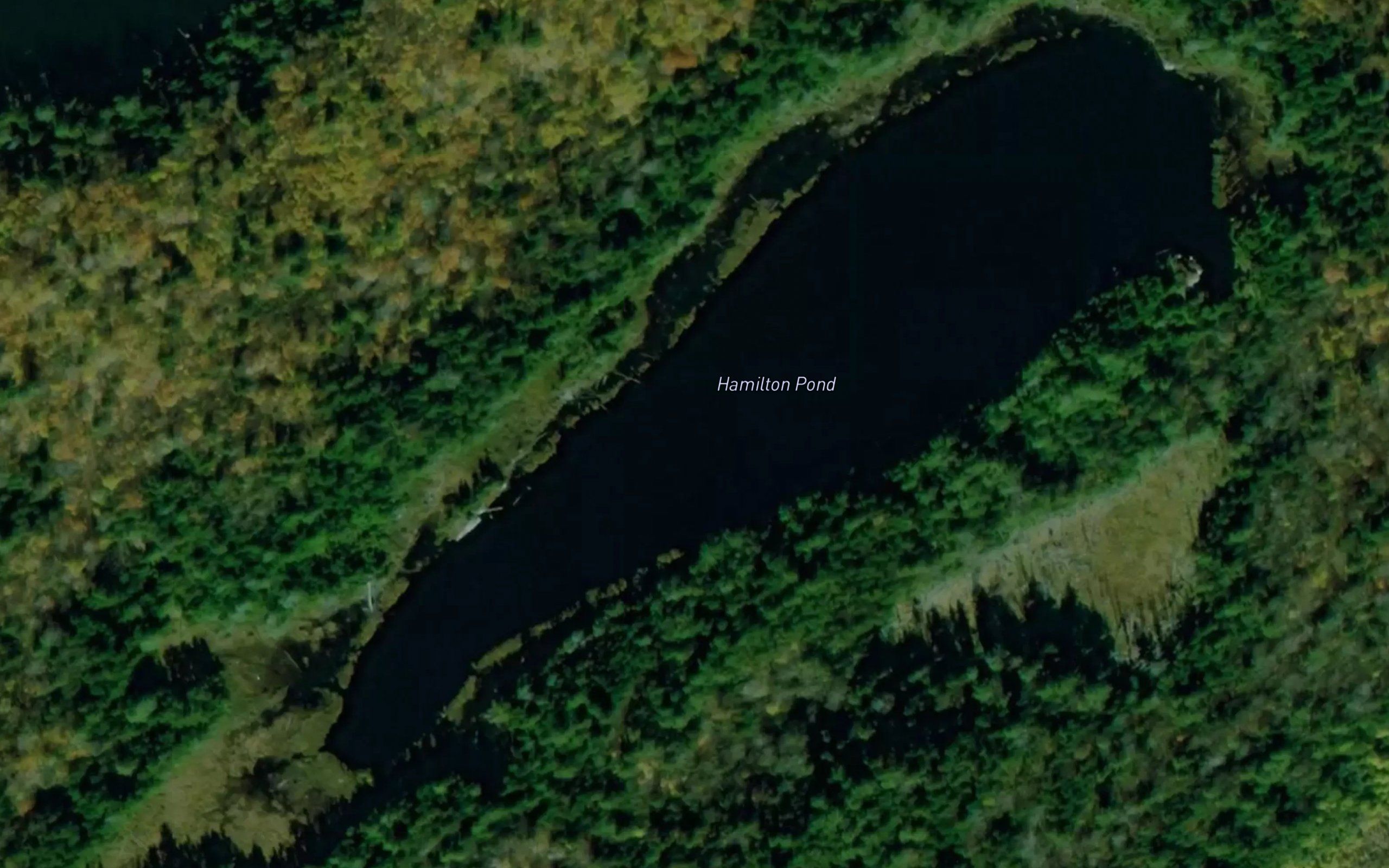 Hamilton Pond