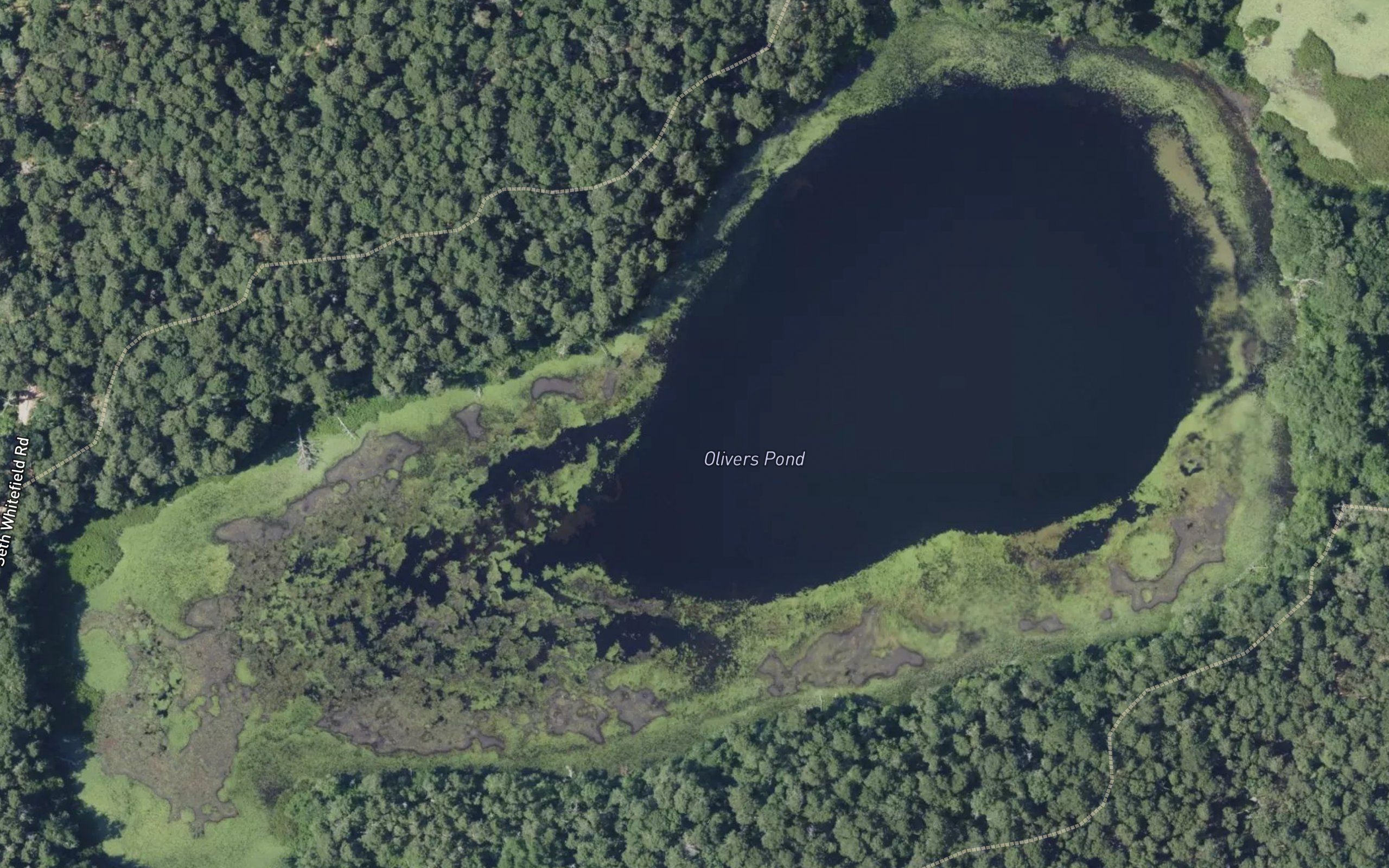 Olivers Pond