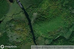 Salmon Trout Creek