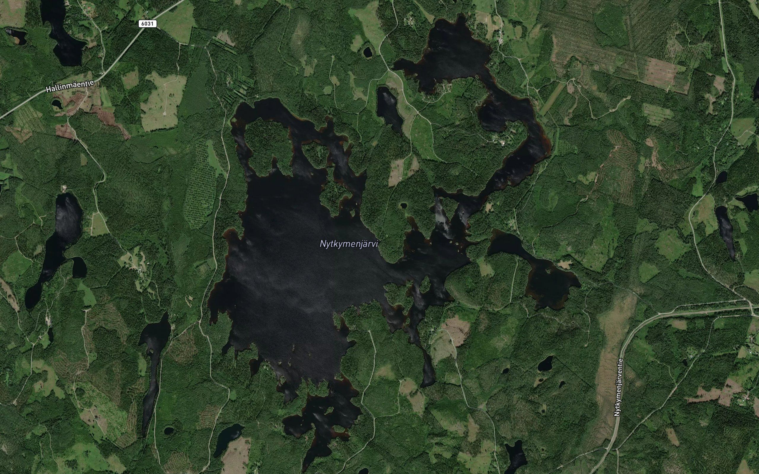 Levealahti