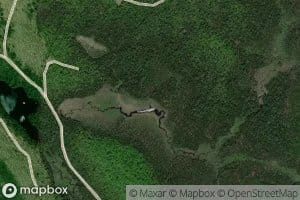 Mocking Creek