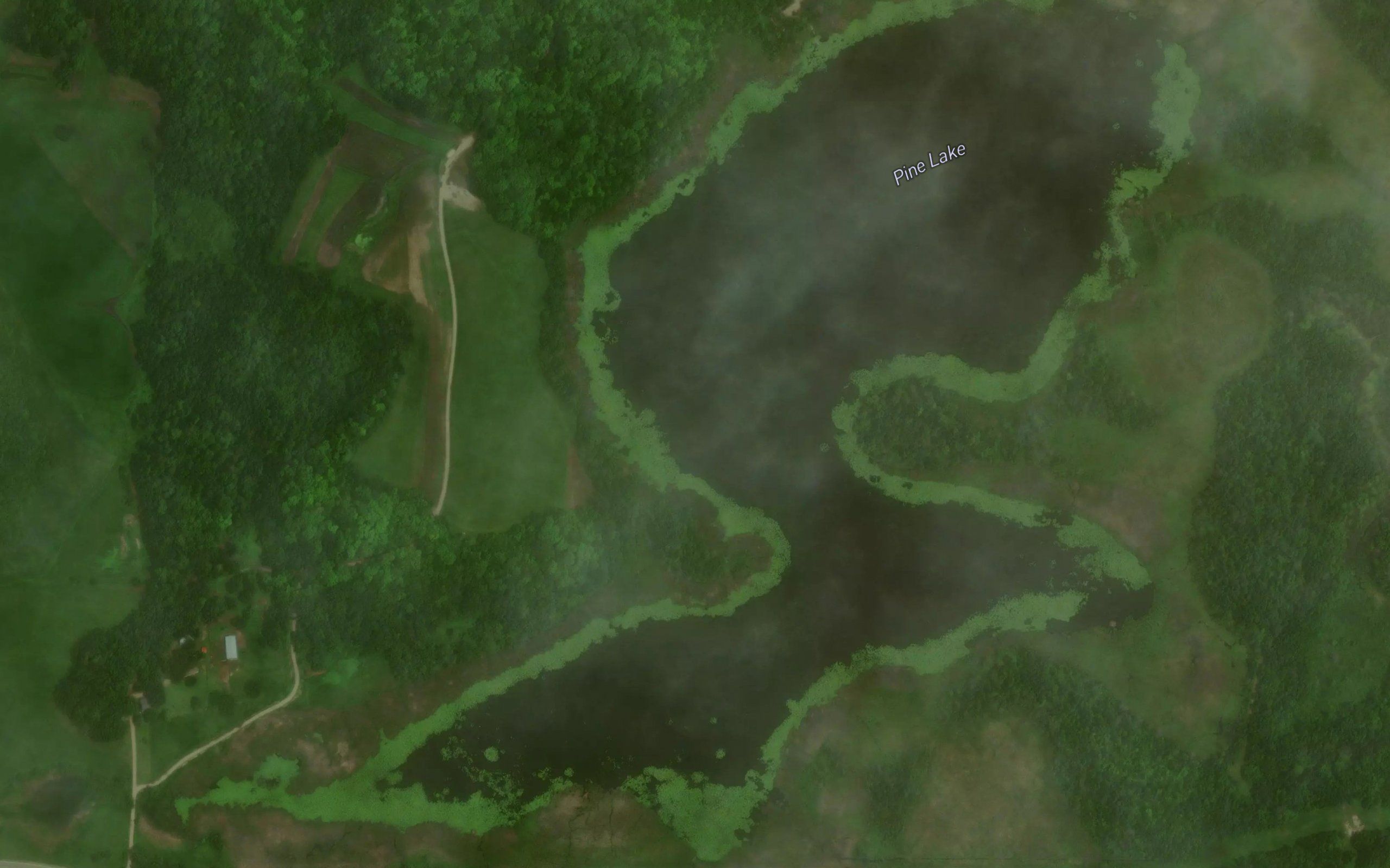Pine Lake