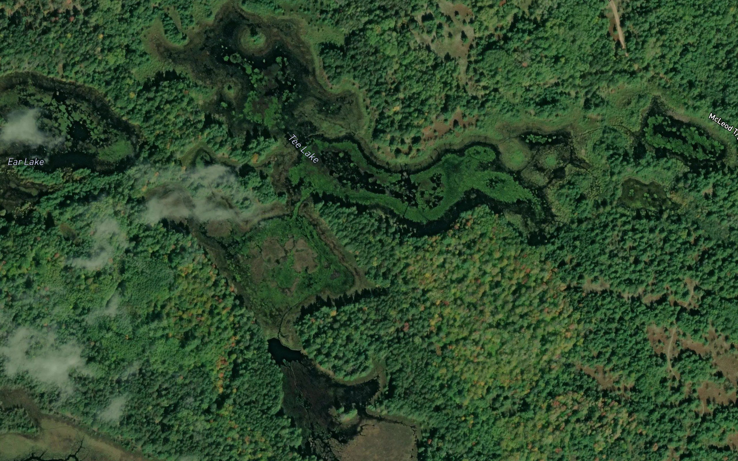 Tee Lake