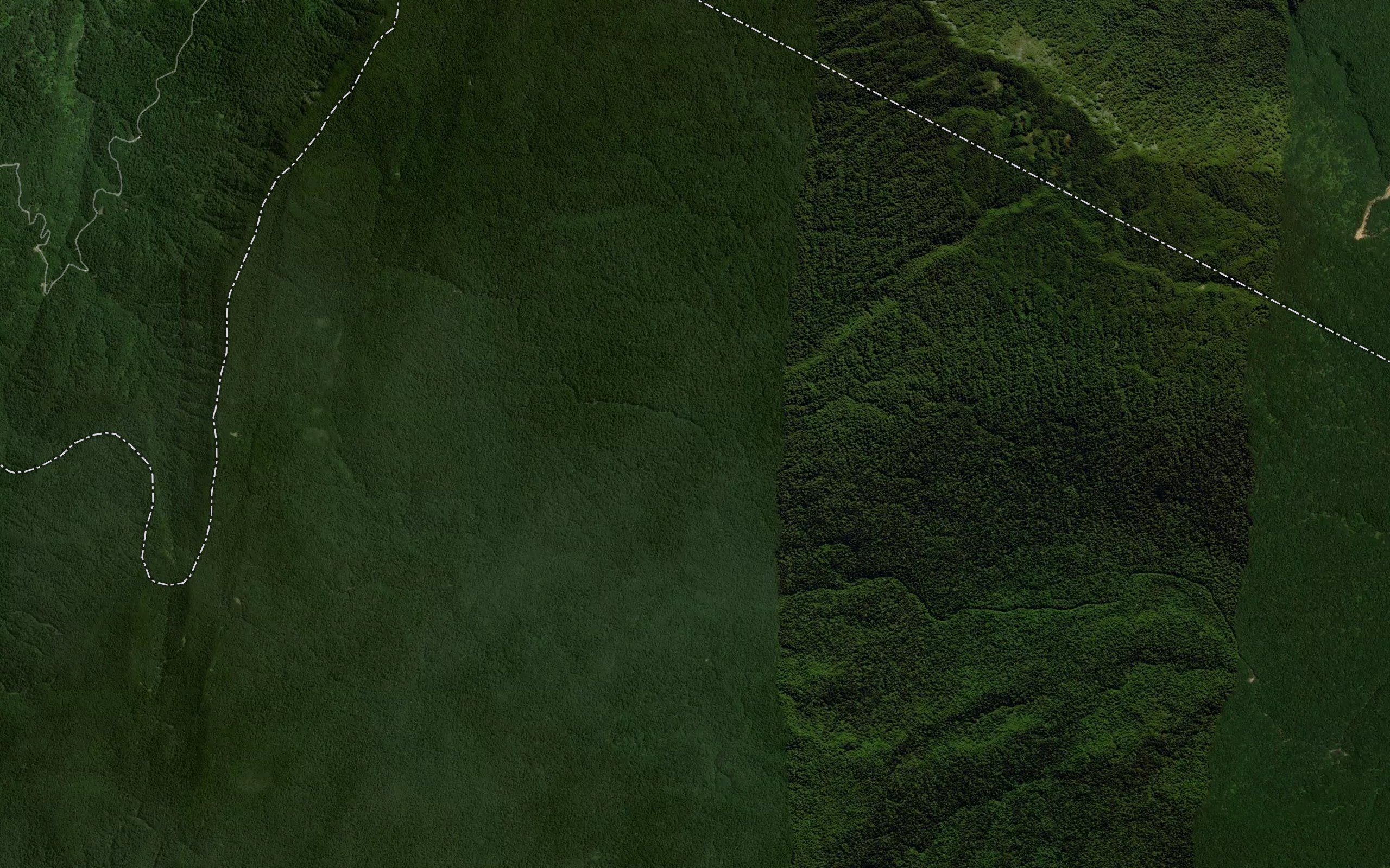 Te Mata Stream