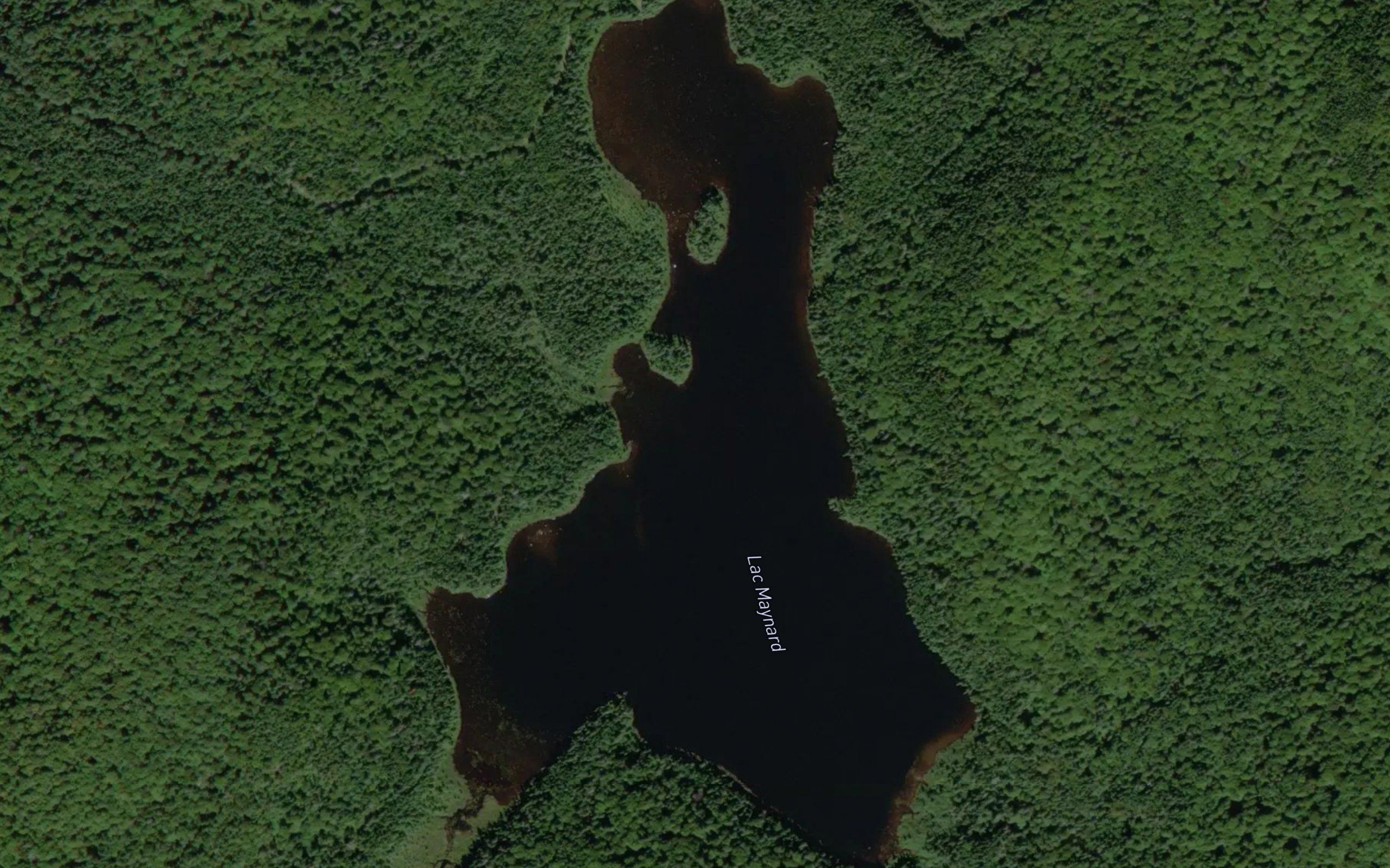 Lac Maynard