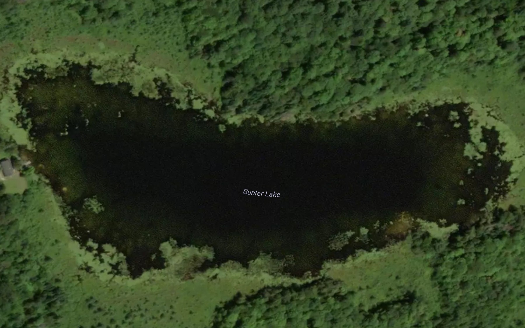Satellite map of the Gunter Lake
