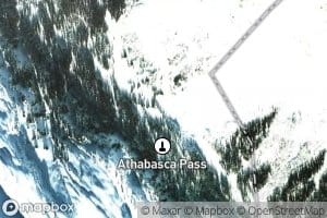 Committee Punch Bowl