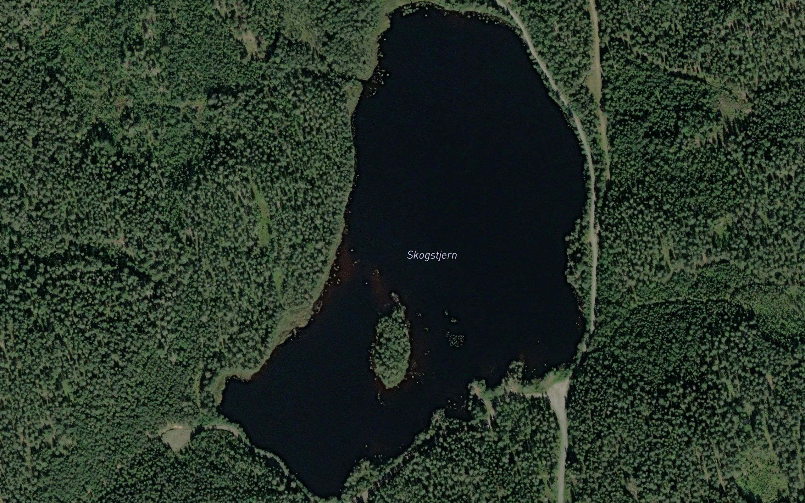 Skogstjern