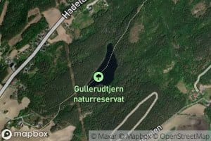 Gullerudtjernet