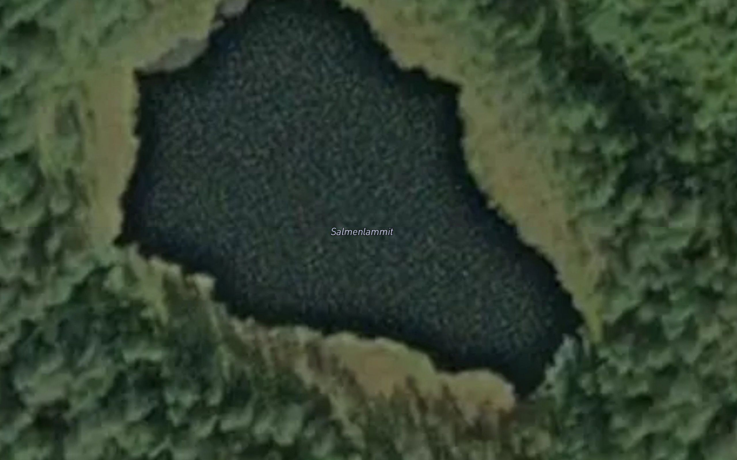 Salmenlammit