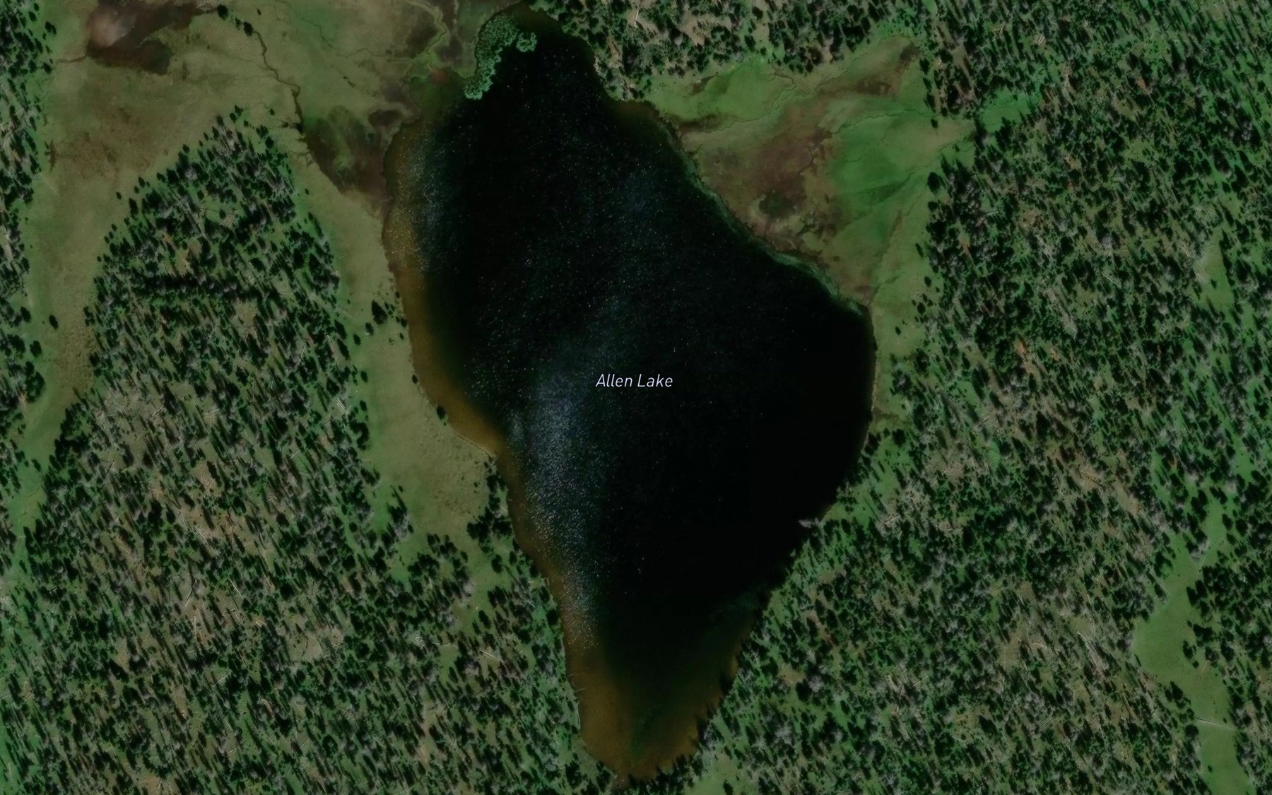 Satellite map of the Allen Lake
