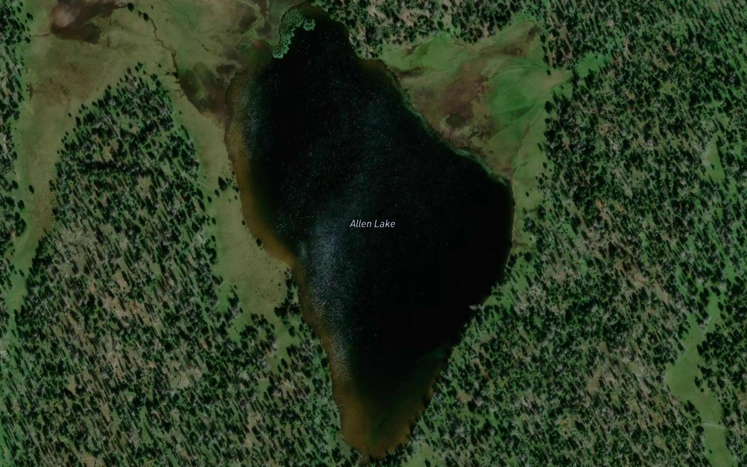 Allen Lake