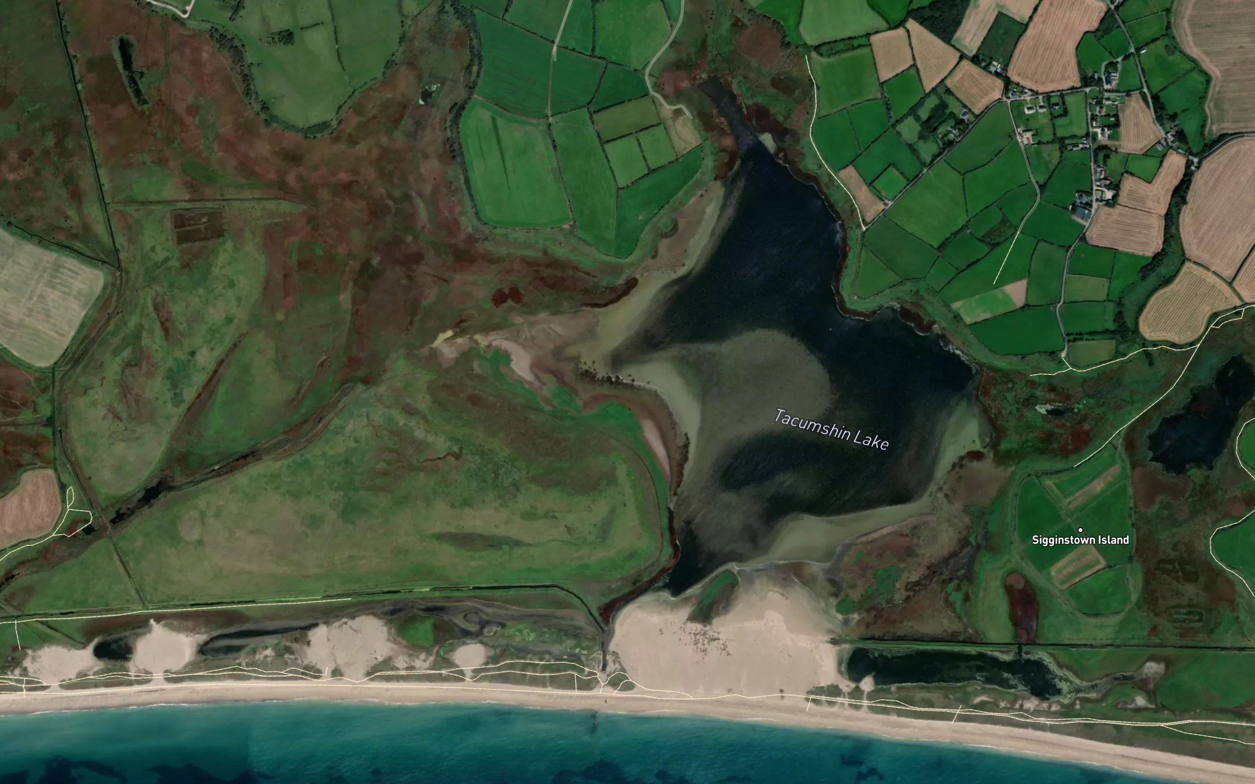 Tacumshin Lake