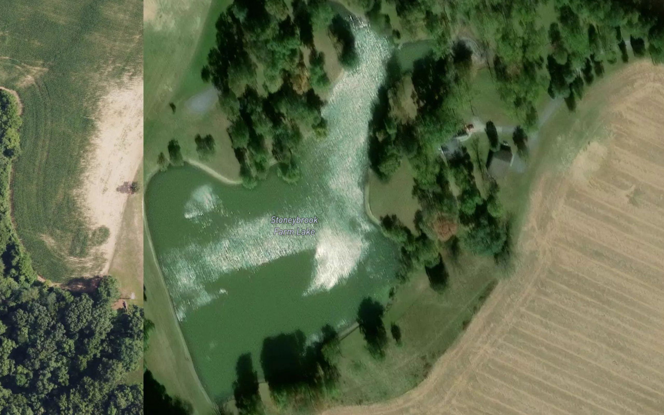 Stoneybrook Farm Lake