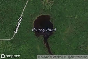 Grassy Pond