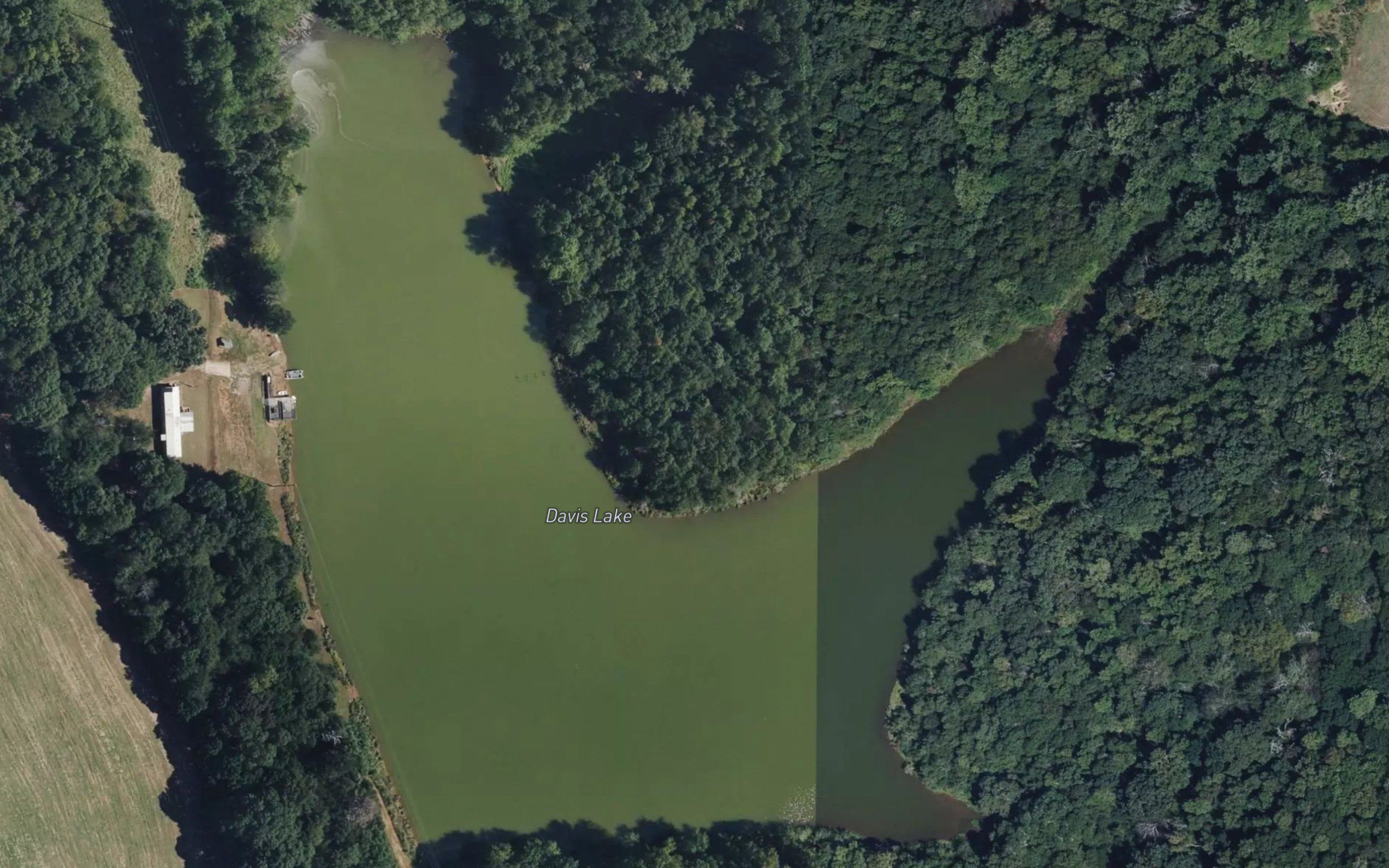 Davis Lake