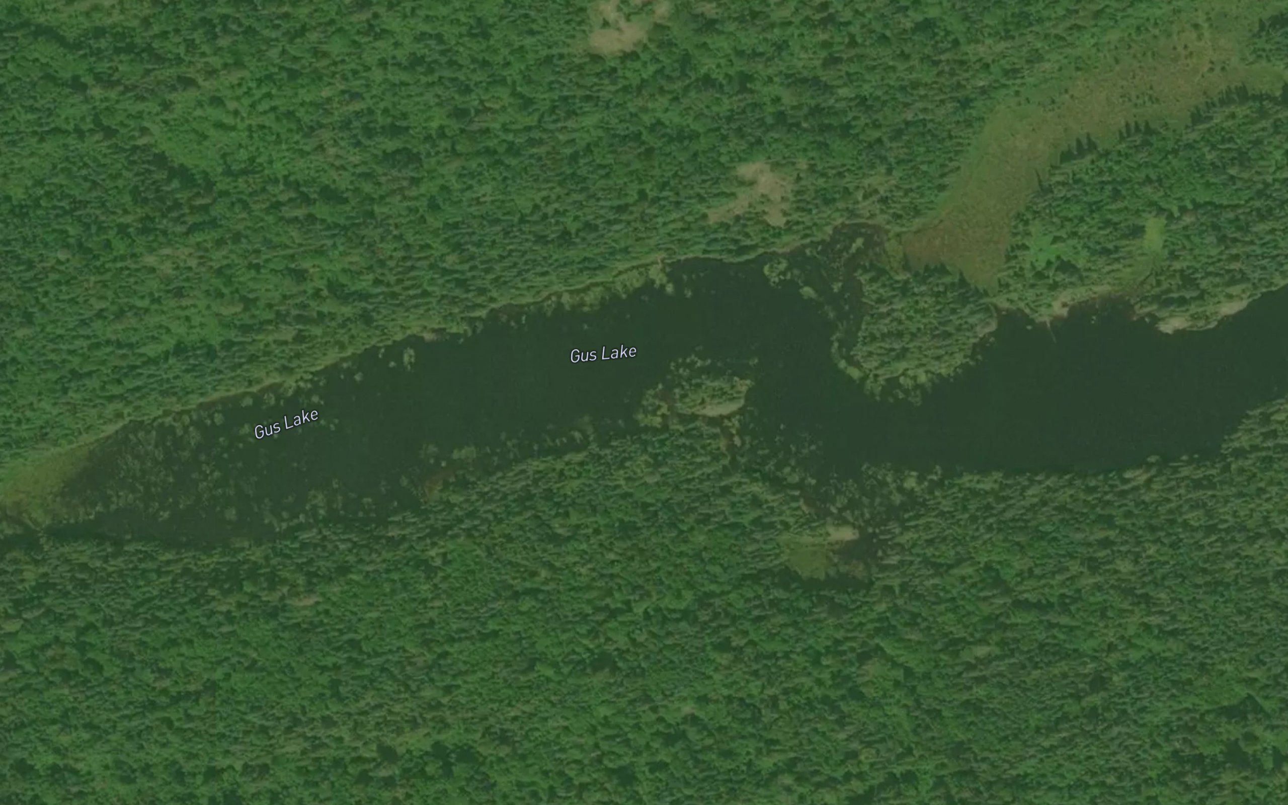 Gus Lake