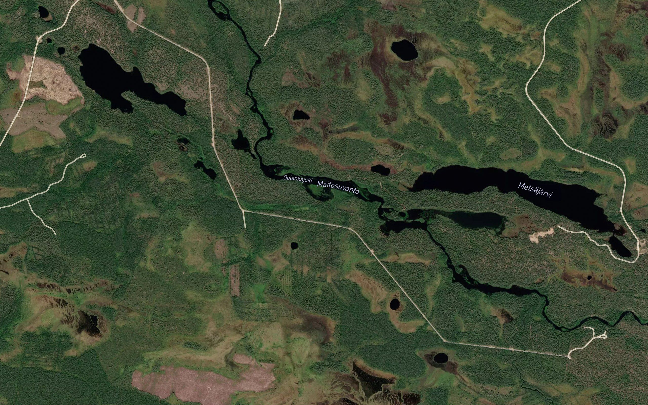 Palo-oja