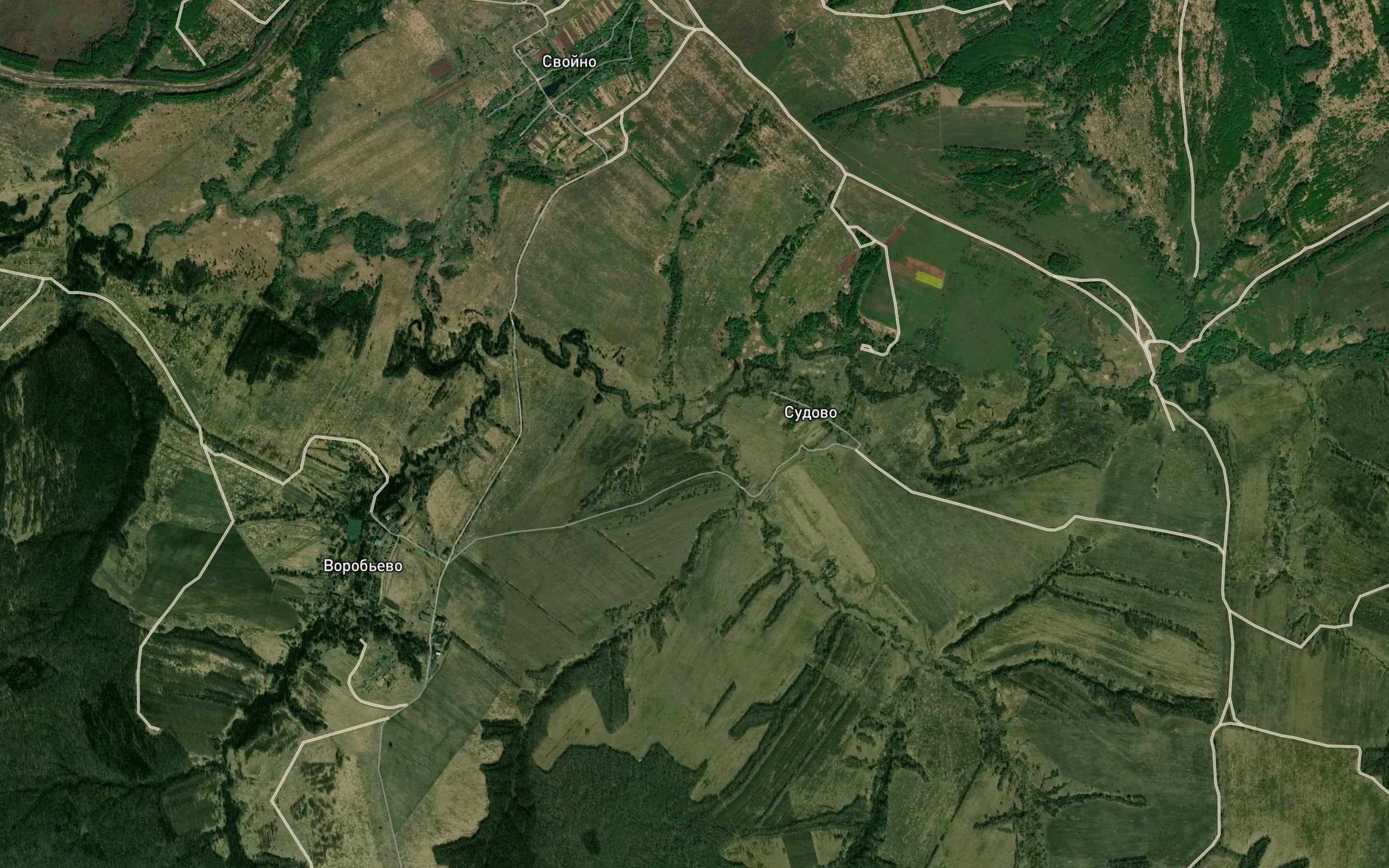 Vassa