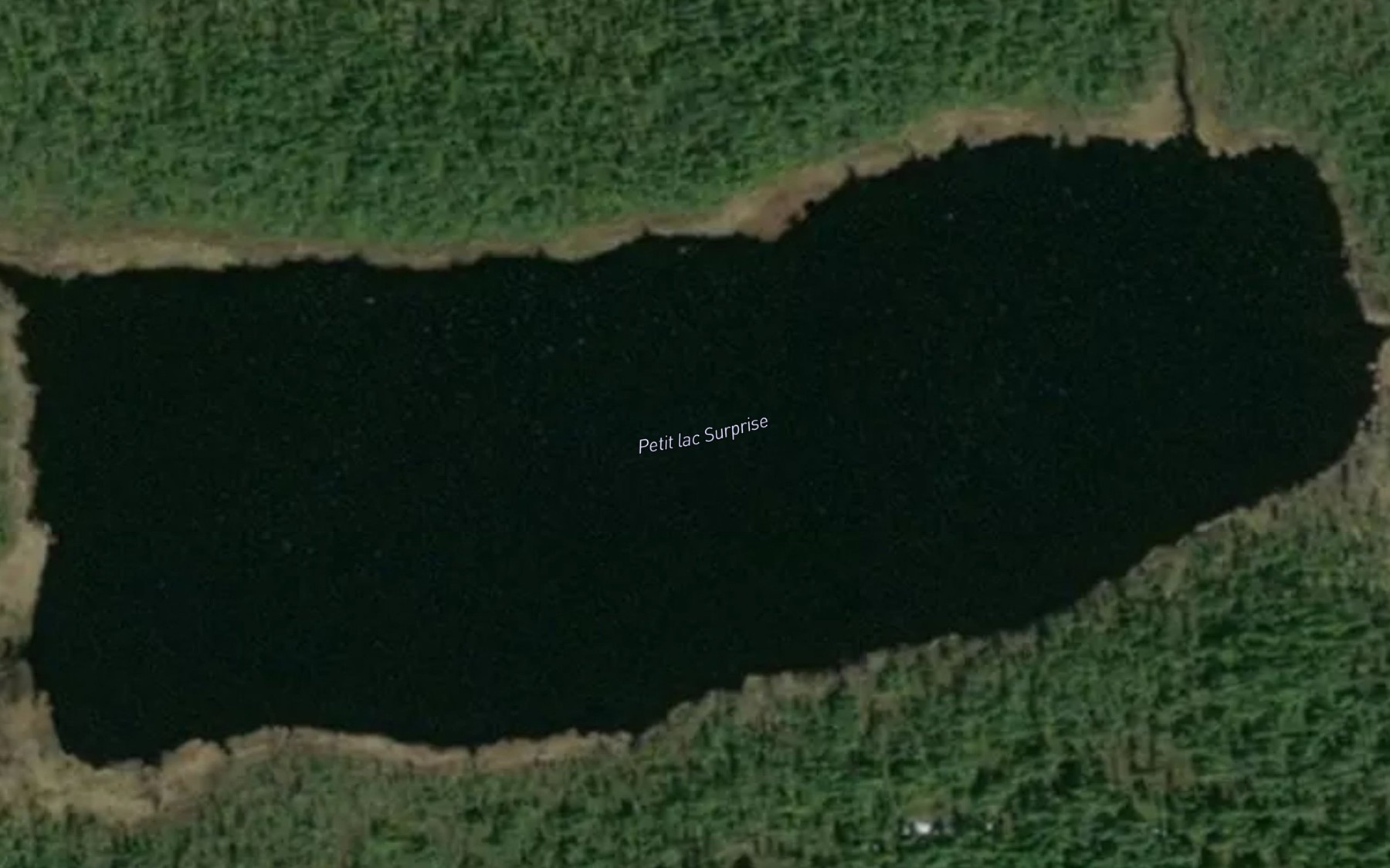 Satellite map of the Petit lac Surprise