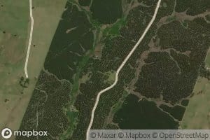 Gajo del Arroyo Corrales