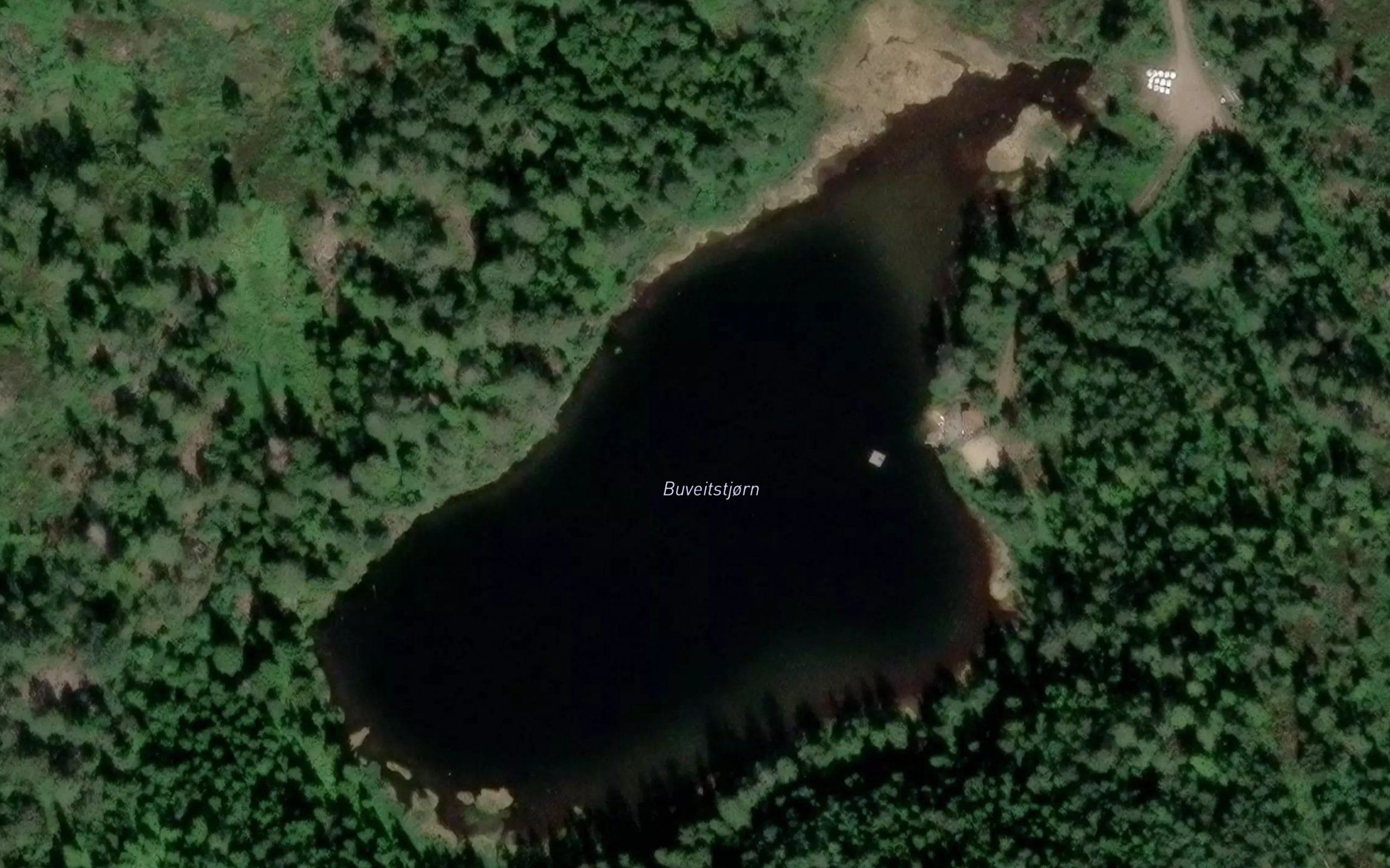 Buveitstjorn