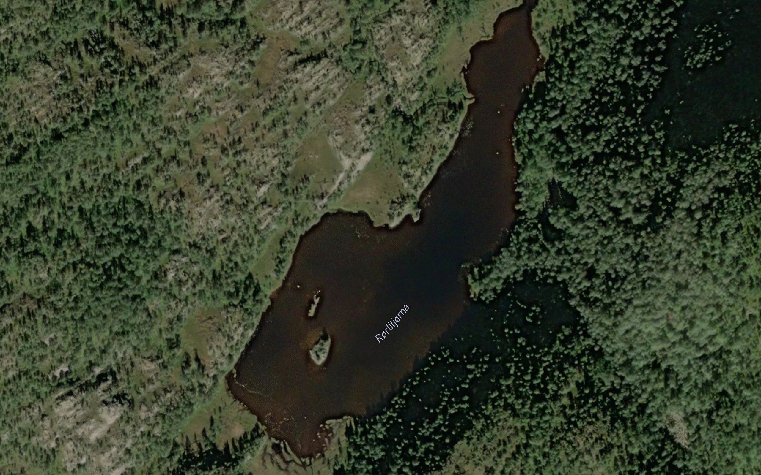 Rorlitjorna