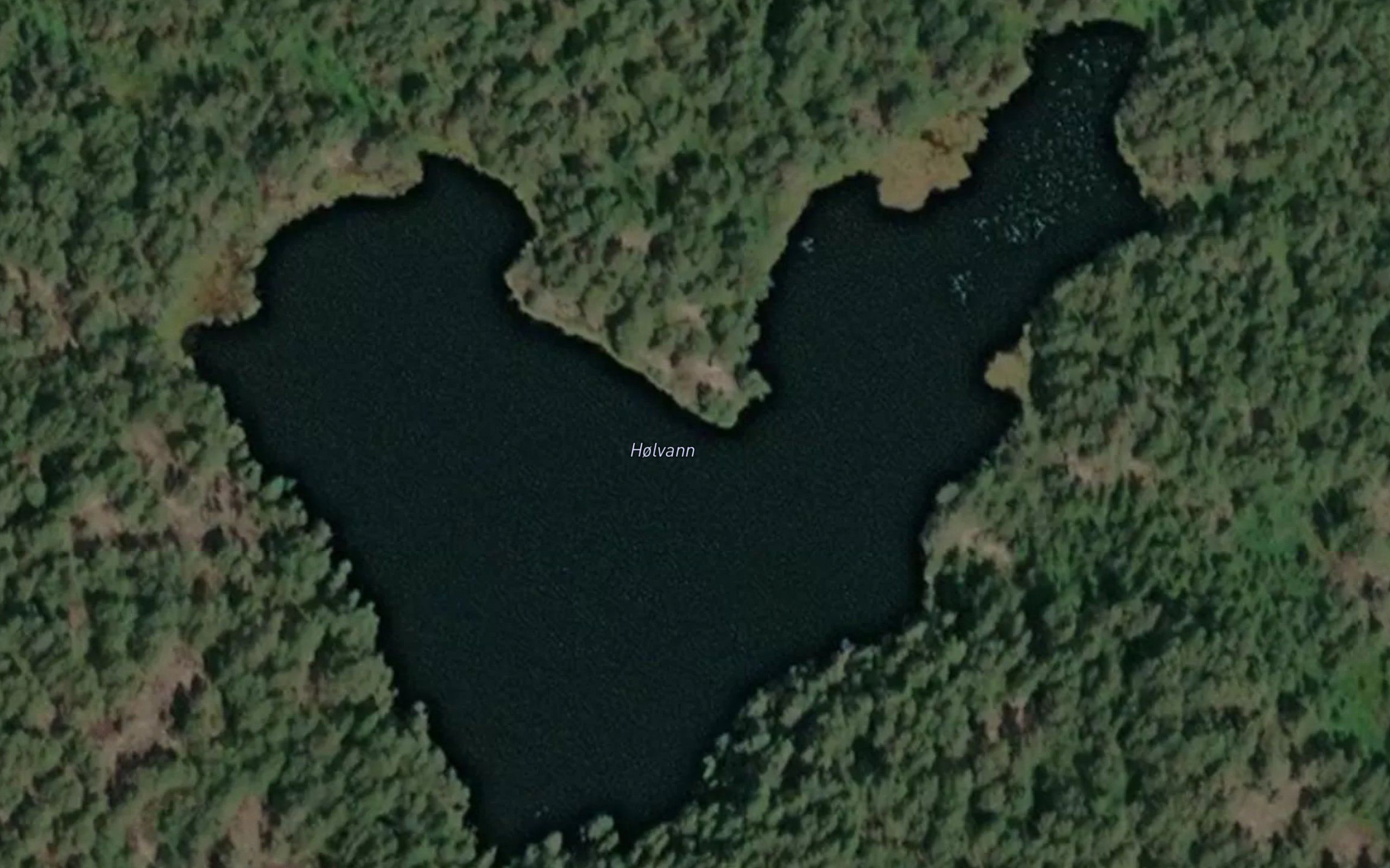 Holvann