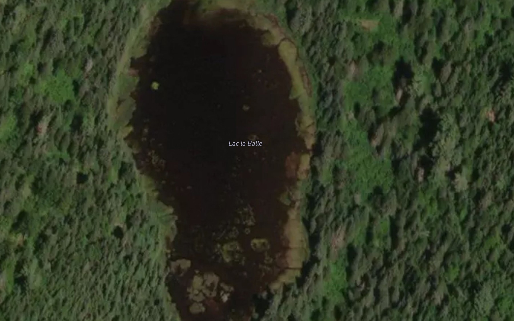 Satellite map of the Lac la Balle